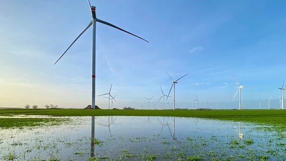 Êin Windpark in der nähe der Gemeinde Riepsdorf. © NDR Foto: Fabian  Boerger