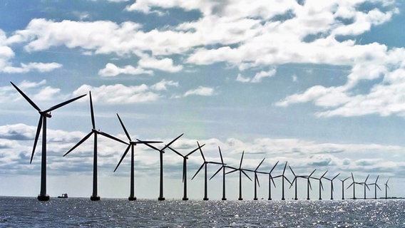 Ein Offshore-Windpark © dana press photo Foto: dana press photo