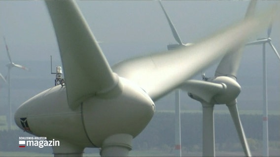 Windräder. © NDR 