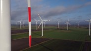 Zahlreiche Windräder mit Rot-Weißen Rotorblättern stehen auf offener Fläche. © NDR Screenshot 