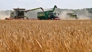 Landwirte ernten Wintergerste mit Mähdreschern auf einem Feld bei strahlender Sonne. © picture alliance/dpa Foto: Martin Schutt