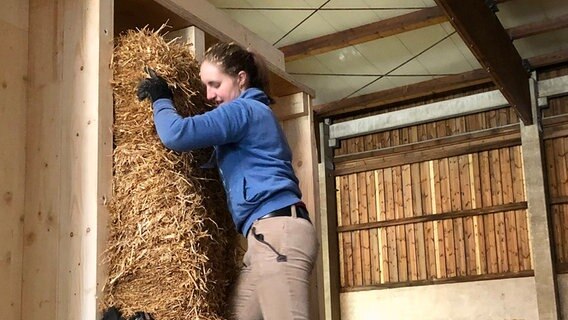 Eine junge Frau stopft Stroh in Hausgerüst aus Holz. © NDR 