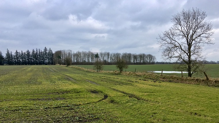 Es ist ein grün bewachsenes Feld zwischen Schleswig-Holstein und Dänemark zu sehen, ohne Zaun zwischen den Ländern © Dänisches Umweltministerium