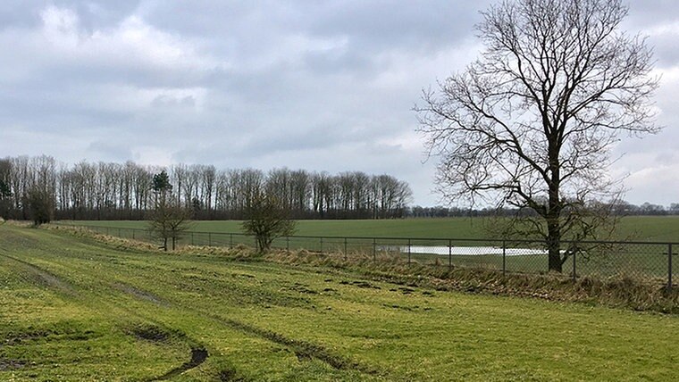 Es ist ein grün bewachsenes Feld zwischen Schleswig-Holstein und Dänemark zu sehen, mit Zaun zwischen den Ländern in das Bild hineinmontiert © Dänisches Umweltministerium