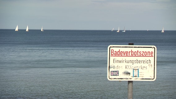 An einem Strand steht ein Schild mit der Aufschrift "Badeverbotszone". © NDR 