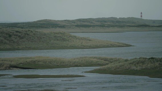 Eine Küstenlandschaft mit einem Leuchtturm am Horizont. © NDR Foto: NDR Screenshot