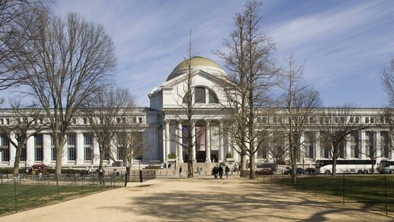 National Museum of Natural History, Washington © Imago Images Foto: xGxJacksonx