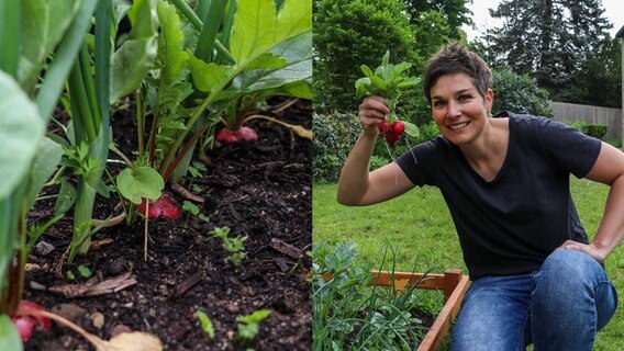 Martina Witt hat die ersten Radieschen im Gartenbeet geerntet. © NDR Foto: Luisa Müller