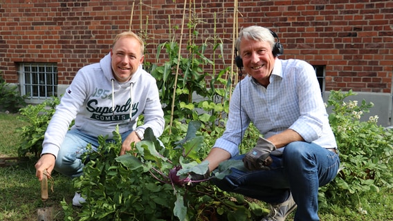 Moderator Christian Haacke und Ralf vom Gartenpodcast Alles Möhre oder was hocken vor dem Beet © NDR Foto: Jasmin Janosch