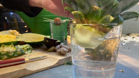 Ein Ananasstrunk in einem Wasserglas © NDR Foto: Martina Witt