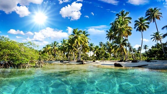 Strand in der Karibik © fotolia.com Foto: doris oberfrank-list