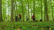 Literarisches Waldbaden im Landkreis Stade. © NDR Foto: Janina Possel