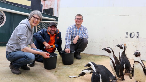 Schorse ist für die Aktion "Leb Deinen Traum" unterwegs: Der Traum von Heike ... wird im Zoo Hannover wahr (v.l. Heike Gärner, Schorse, Tierpfleger Bene). © NDR Foto: Luisa Müller