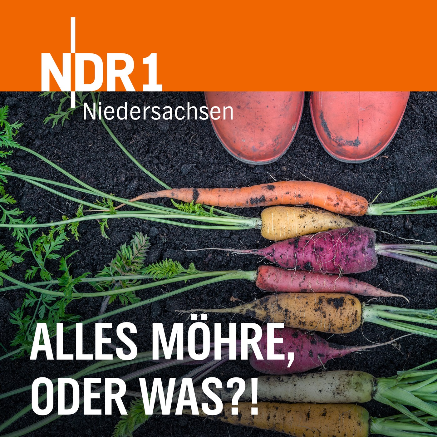 Gartenpodcast: Alles Möhre, oder was?!