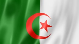 Flagge / Fahne von Algerien Flagge / Fahne von Algerien