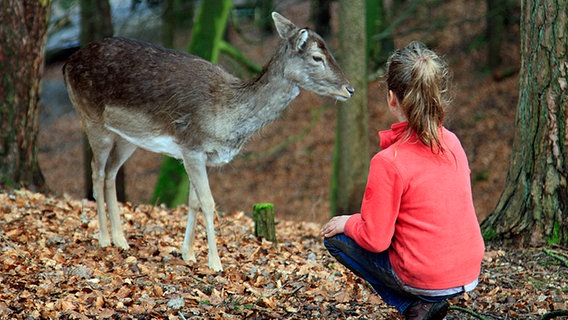 Ein Mädchen hockt vor einem Damwild. © Peter Mross Foto: Peter Mross