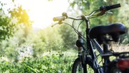 Ein Fahrrad parkt im Grünen. © Fotolia Foto: rilliant Eye