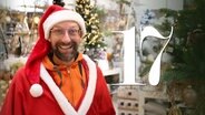 Ein als Weihnachtsmann verkleideter Schorse mit der Nummer 17 (Montage). © NDR Foto: Ania Schaal