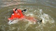 Schorse im Überlebensanzug im Wasser © NDR Foto: Andi Gervelmeyer