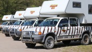 Camping zwischen wilden Tieren - das geht im Serengeti Park Hodenhagen. © NDR Foto: Luisa Müller