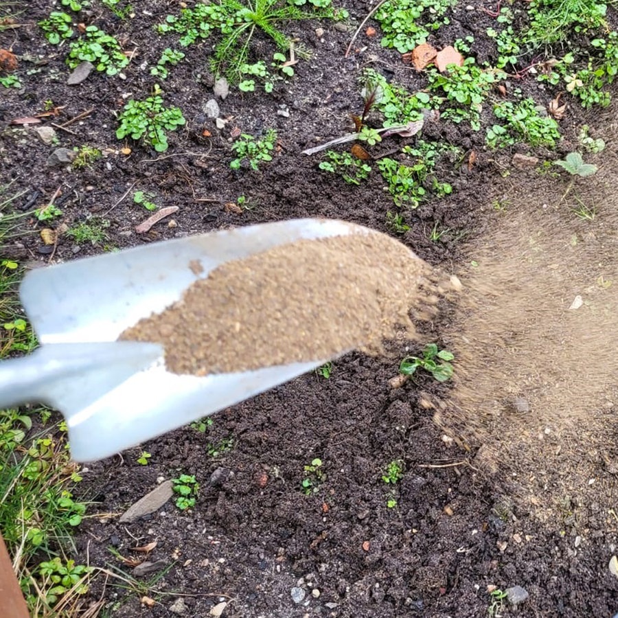 Im Grünen Bereich – Der NDR Gartenpodcast