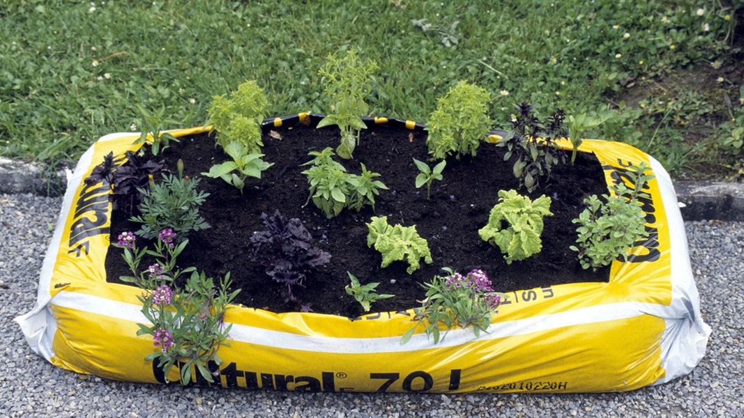 Im Pflanzbeutel Gemüse auf dem Balkon anbauen | NDR.de - Ratgeber - Garten
