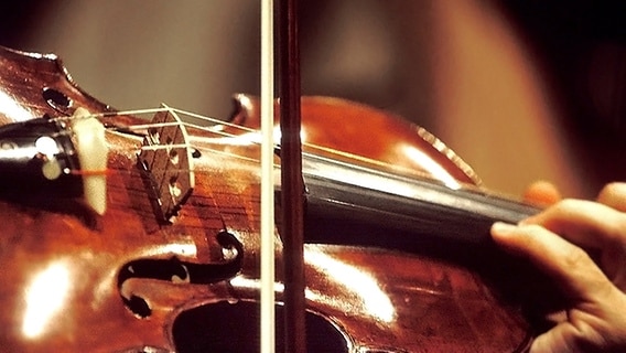 Geige, Detailbild Geige, Detailbild © picture-alliance/Bildagentur Huber Foto: Parisi