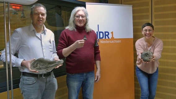 Zu Gast in der Plattenkiste am 20. März: Arbeitskreis Paläontologie Hannover © NDR Foto: NDR