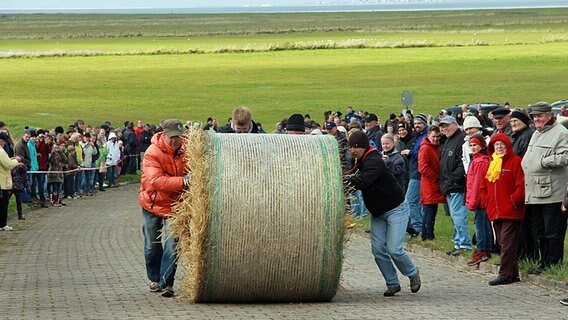 Deichhochrollen bei den Strohballen-Rollmeisterschaften in Dornumersiel.  Foto: Tourismus GmbH Gemeinde Dornum