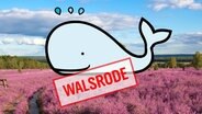 Ein gezeichneter Wal liegt lächelnd in einer Heidelandschaft. Im Vordergrund der Schriftzug "Walsrode".  Foto: Eric Klitzke