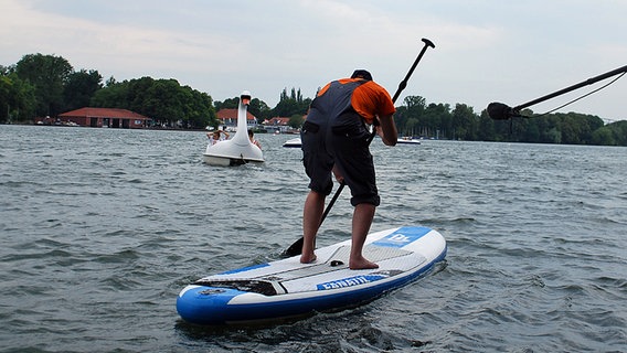 Schüssel-Schorse auf einem Surfbrett © NDR Foto: Jessi Schantin