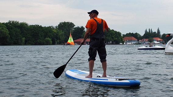 Schüssel-Schorse auf einem Surfbrett © NDR Foto: Jessi Schantin