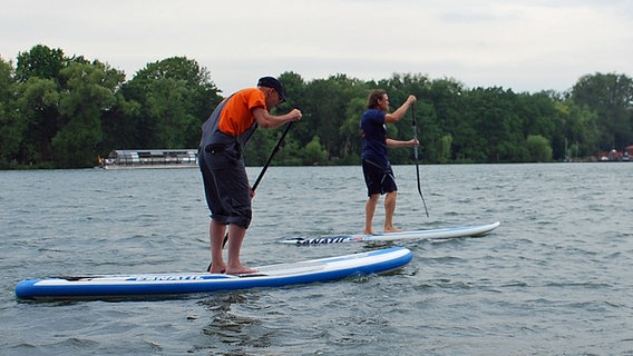 Schüssel-Schorse auf einem Surfbrett © NDR Foto: Jessi Schantin