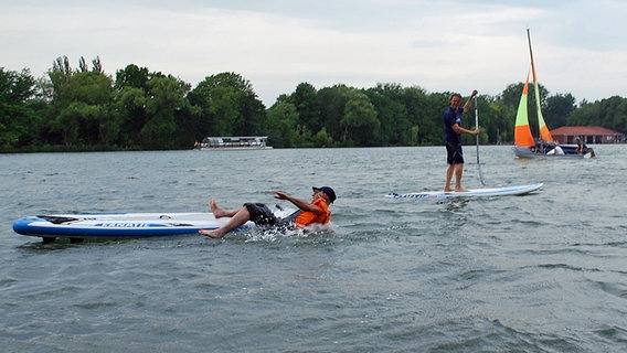 Schüssel-Schorse auf einem Surfbrett © NDR Foto: Jessi Schantin