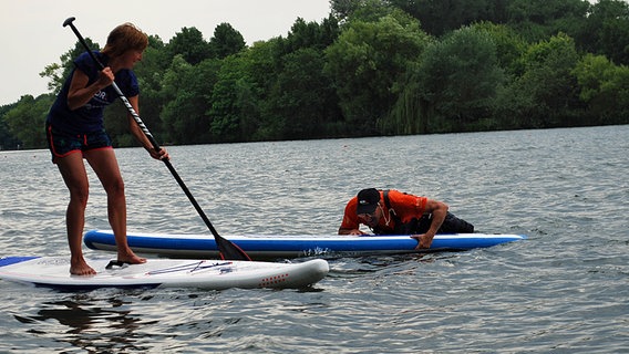 Schüssel-Schorse klettert auf ein Surfbrett © NDR Foto: Jessi Schantin