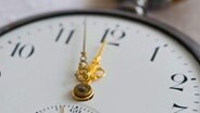 Eine Uhr zeigt 5 vor 12 © picture alliance / blickwinkel Foto: McPHOTO/O. Protze