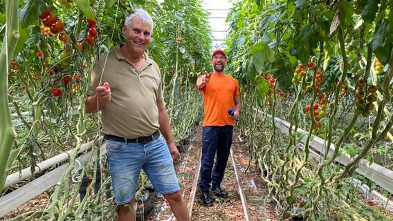 Schorse mit Geschäftsführer der Emsflower GmbH Bennie Kuipers © NDR Foto: Bernd Drechsler