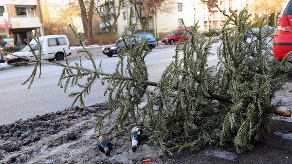 Ein entsorgter Weihnachtsbaum am Straßenrand © dpa Foto: Angelika Warmuth