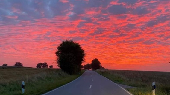 Sonnenaufgangs-Bild von NDR 2 Hörer Manfred, aufgenommen bei Bosau © Privat 