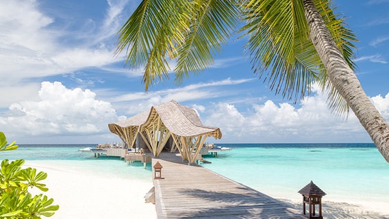 Ein Steg führt in kristallblauem Wasser zu einem leichten Gebäude mit geschwungenem Dach auf den Malediven © picture alliance / Cover Images Foto: Joe Chua Agdeppa/Atelier Nomadic