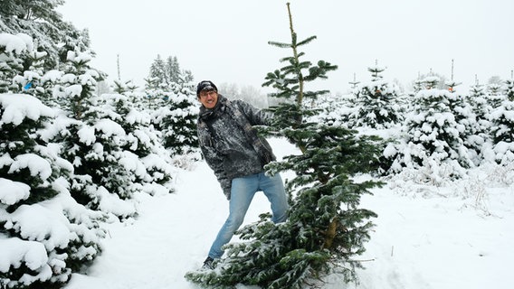 NDR 2 Reporter Jelto Ringena mit einem Tannenbaum. © NDR 2 | Niklas Kusche Foto: Niklas Kusche