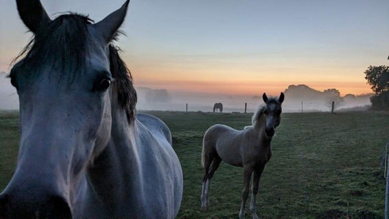 Sonnenaufgangsbild von NDR 2 Hörerin Maike © Privat Foto: NDR 2 Hörerin Maike