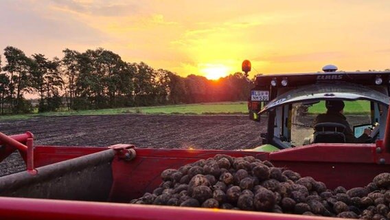 Ein Traktor auf dem Kartoffelfeld im Sonnenaufgang. © NDR 2 Foto: Hörer Patrick aus Rönne