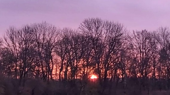 Bild vom Sonnenaufgang aus Hüddessum von NDR 2 Hörerin Marion © Privat 