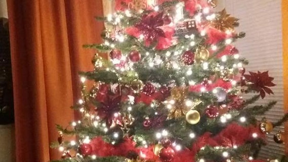 Weihnachtsbaum von Thomas  