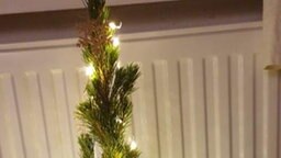 Weihnachtsbaum von Edith aus Barmbek Weihnachtsbaum von Edith aus Barmbek Foto: NDR 2 Hörerin Edith