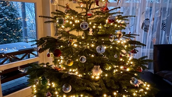Bunt geschmückter Weihnachtsbaum von NDR 2 Hörerin Tina © Privat 