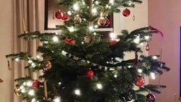Weihnachtsbaum von NDR 2 Hörerin Kerstin B © Privat 