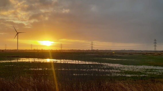Sonnenaufgang über nassen Feldern. © Privat 