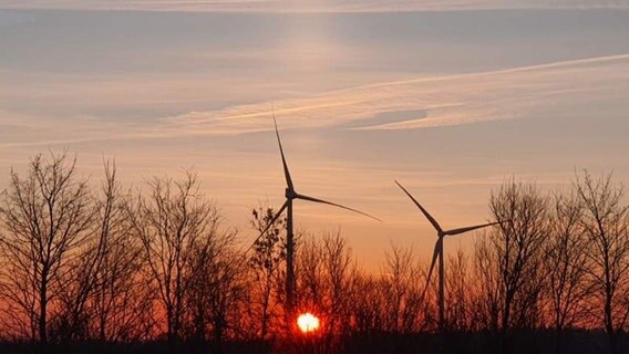 Sonnenaufgang bei Leck in Nordfriesland vor Windrädern von NDR 2 Hörer Alex © Privat 